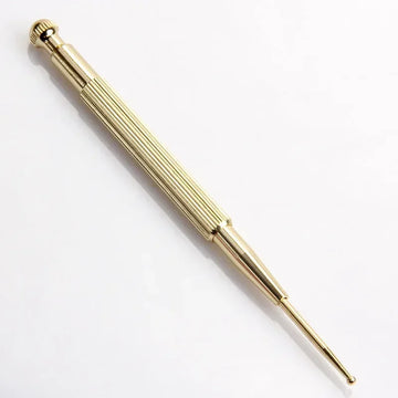 Facial Reflexology Massage Tool Retractable Acupuncture Pen Double Headed Spring Ear Care Tool Point Probe Pen Massager for Face