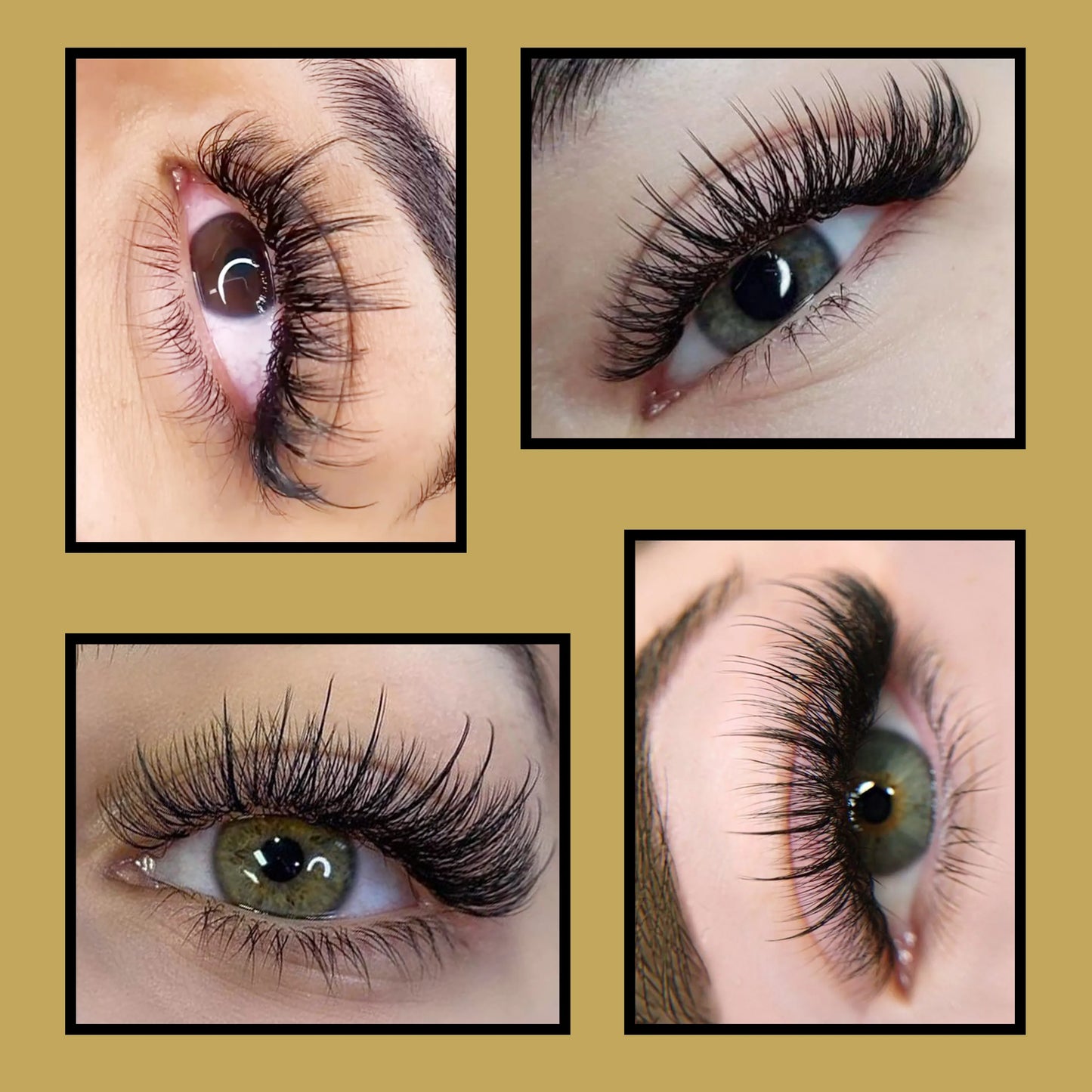 CoMango Premium 5D Flower Fairy Flora Lashes Premade Fans Individual Lashes Extension Soft Natural Makeup Wholesale Supplier