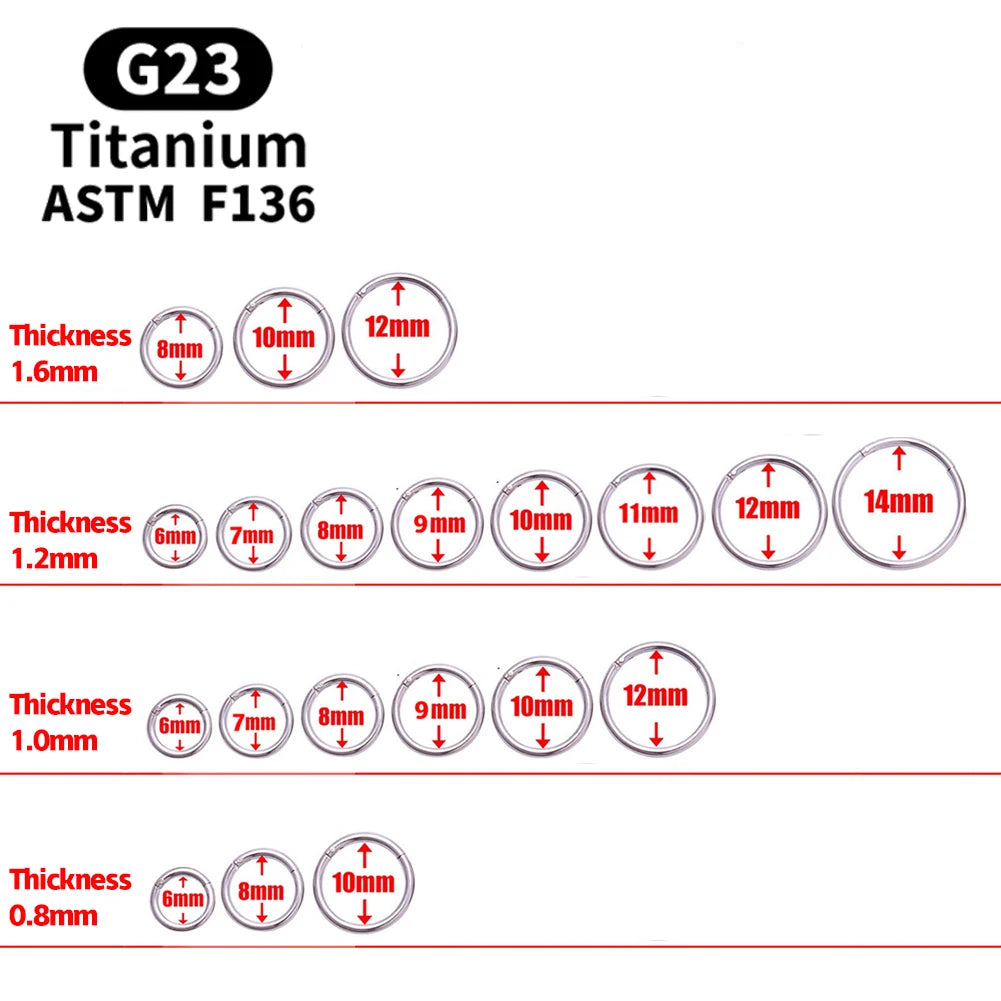 1/5Pcs Nose Rings G23 Titanium Lip Ring For Women And Men Piercing Jewelry Hoop Earrings Mixed Color Body Clips Hinged