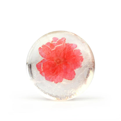 100g Transparent Handmade Soap with Real Fresh Flower Amino Acid Infused Creative Floral Handmade Bar Soap