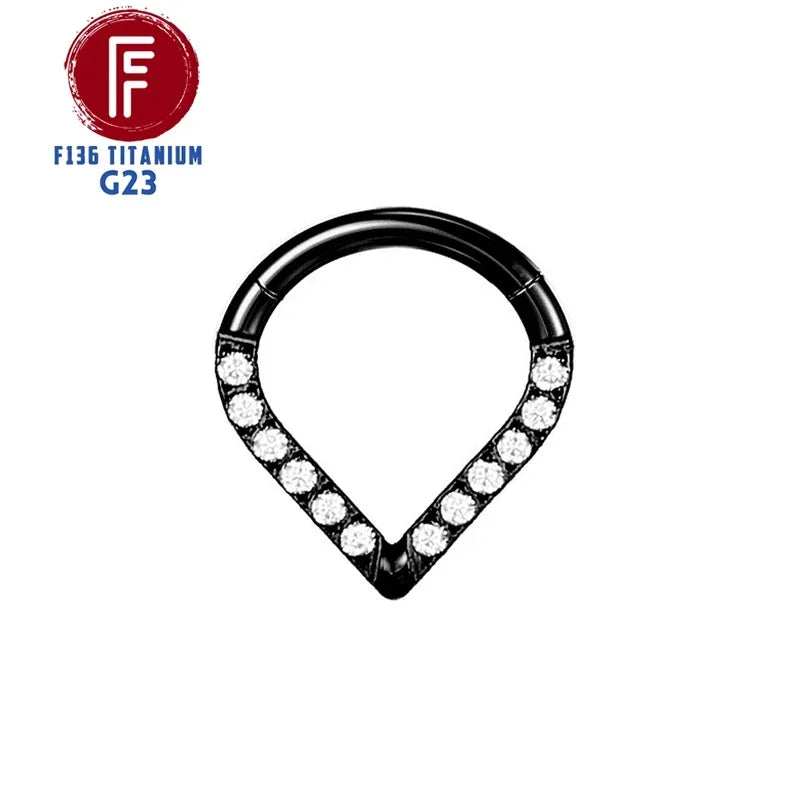 G23 Titanium Daith Cartilage Earrings 16G Helix Nose Septum Piercing Conch Hinged Clicker Body Jewelry Ear Ring Zircon Wholesale