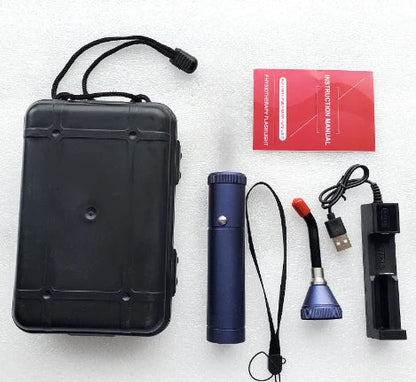 Profession Red Blue Light LED Physiotherapy Flashlight Canker Sore Treat Devices Light Therapy Devices Lip Nose Ears Body Muscle