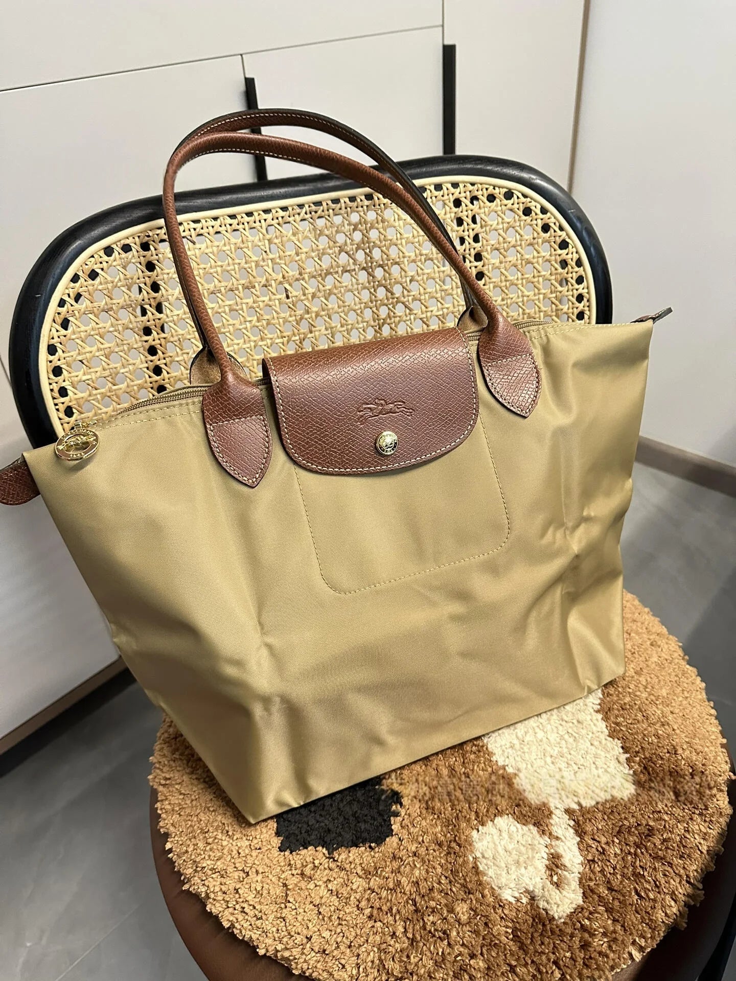 Fashion Long Handled Large Tote Bag Waterproof Women Bags Underarm Dumpling Bag Single Shoulder LONGCHAMP Crossbody Bags