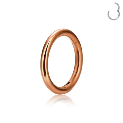 1/5Pcs Nose Rings G23 Titanium Lip Ring For Women And Men Piercing Jewelry Hoop Earrings Mixed Color Body Clips Hinged