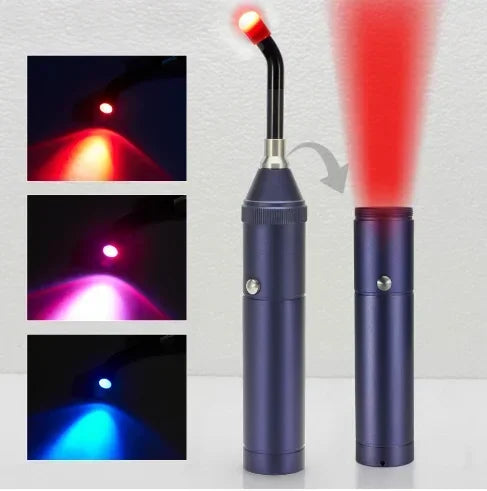 Profession Red Blue Light LED Physiotherapy Flashlight Canker Sore Treat Devices Light Therapy Devices Lip Nose Ears Body Muscle