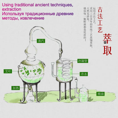 10ml Wormwood Scraping Essential Oil Mugwort Pure Nature Moxibustion Oils Meridian Massage Cupping Moxa Accessories Health Care