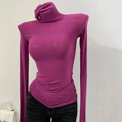 Korean style standing collar long sleeved T-shirt, high collar bottom shirt, women's slim fit slightly transparent top