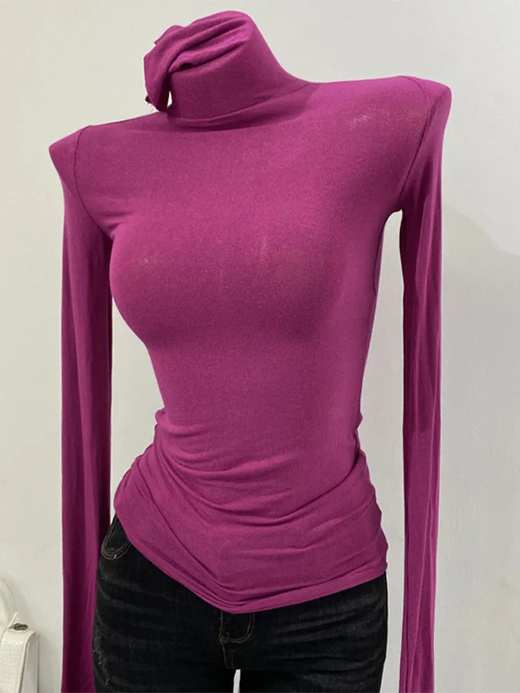 Korean style standing collar long sleeved T-shirt, high collar bottom shirt, women's slim fit slightly transparent top