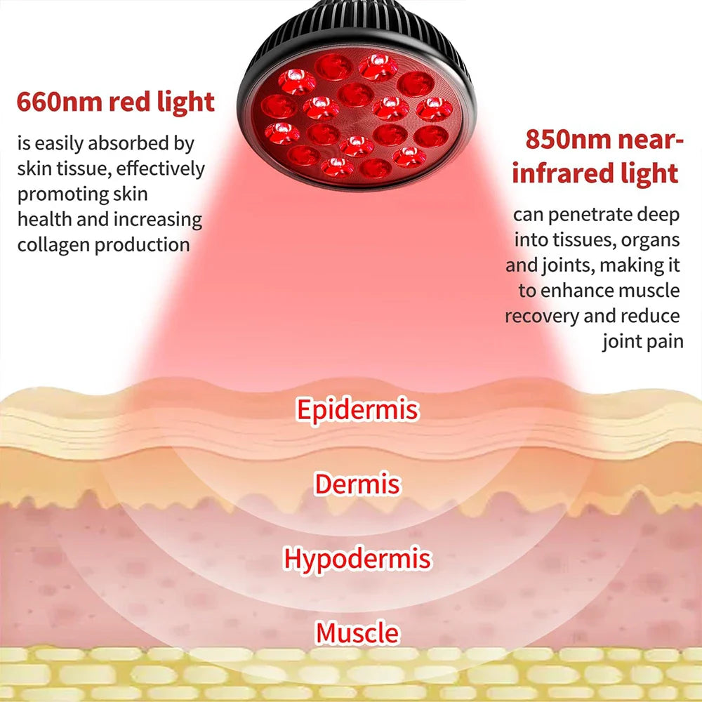 E27 Red and Near Infrared Light Therapy Device with Adjustable Stand,660nm＆850nm Desk for Neck,Knee Pain Relief,Skin Wellness