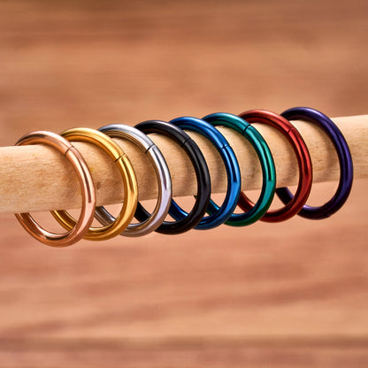 1/5Pcs Nose Rings G23 Titanium Lip Ring For Women And Men Piercing Jewelry Hoop Earrings Mixed Color Body Clips Hinged