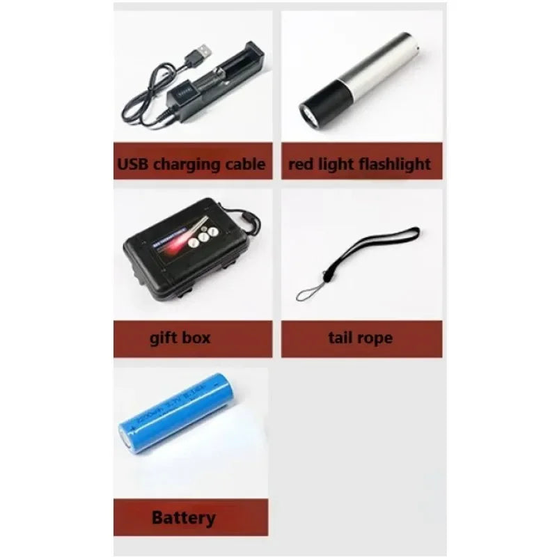 Led Flashlight Anti Inflammatory Pain Relief Red Light Therapy Muscle Pain Infrared Lamp Led Therapy Skin Care