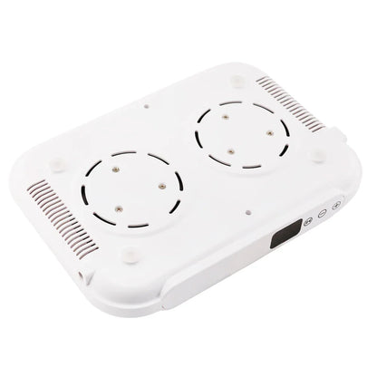 Powerful Suction 170w Nail Dust Collector Manicure Machine 2 Fans Vacuum Cleaner Nail Art Suction with Removable Filter Screen
