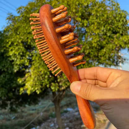1pc Double Sided Air Bag Comb Fashion Anti Static Scalp Massage Wood Comb - Premium Wooden Massage Comb - Whole Body Use