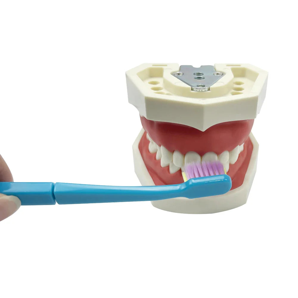 1 Box Dental Cleaning Care Kits Portable Travel Oral Teeth Cleaning Set Detachable Toothbrush Interdental Brush Storage Case