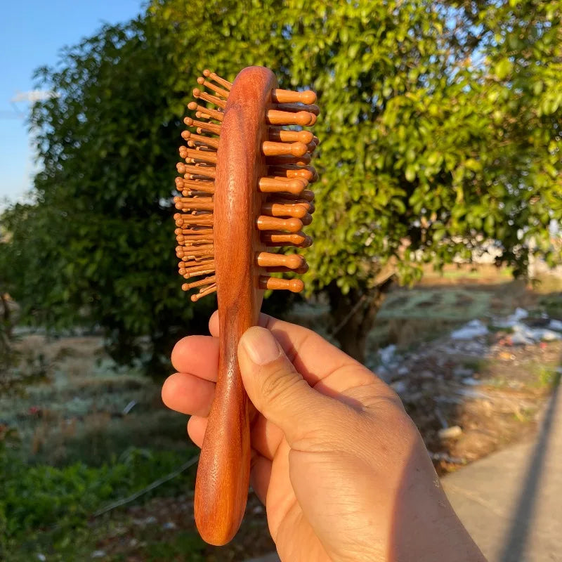 1pc Double Sided Air Bag Comb Fashion Anti Static Scalp Massage Wood Comb - Premium Wooden Massage Comb - Whole Body Use