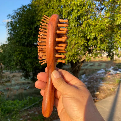 1pc Double Sided Air Bag Comb Fashion Anti Static Scalp Massage Wood Comb - Premium Wooden Massage Comb - Whole Body Use