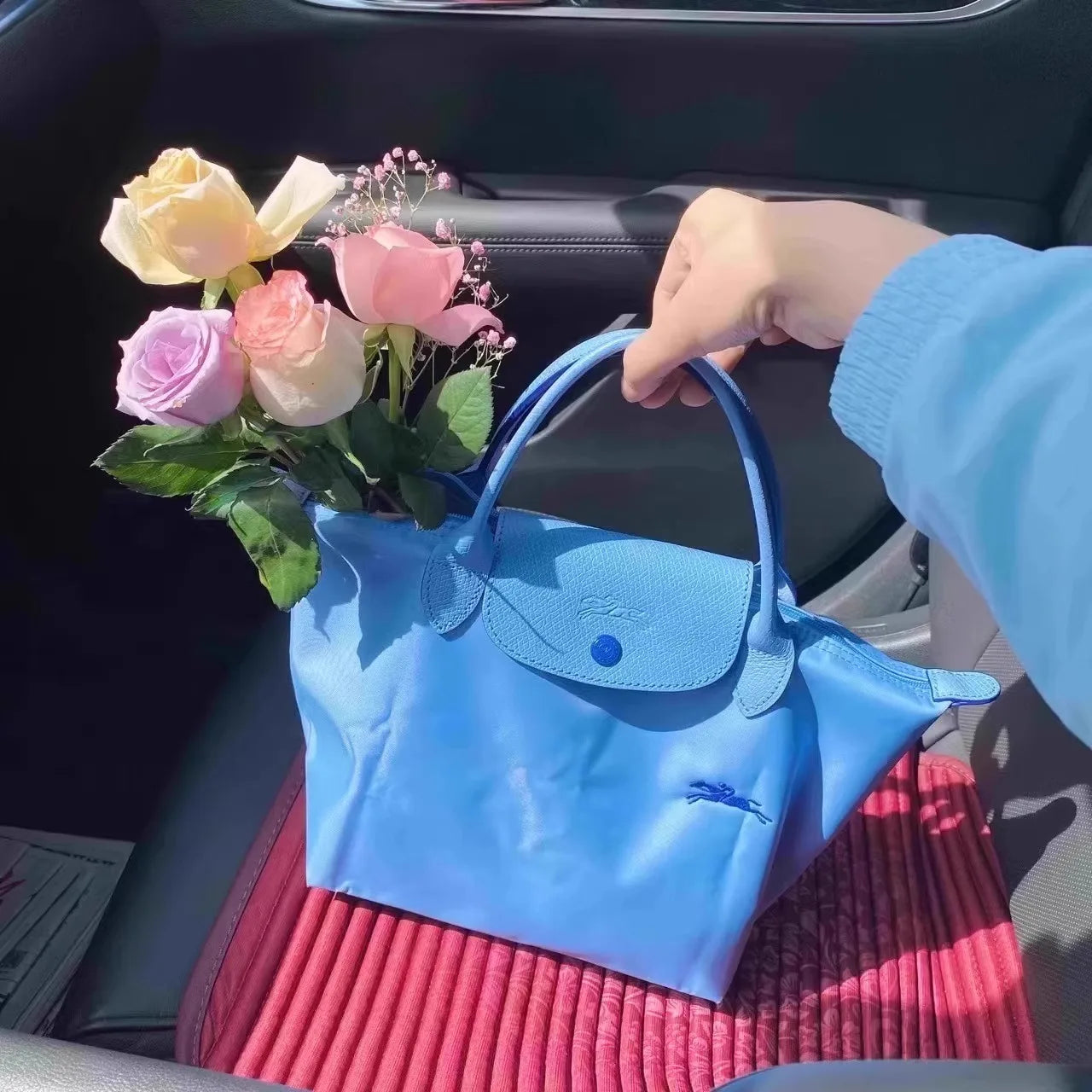 Fashion Long Handled Large Tote Bag Waterproof Women Bags Underarm Dumpling Bag Single Shoulder LONGCHAMP Crossbody Bags