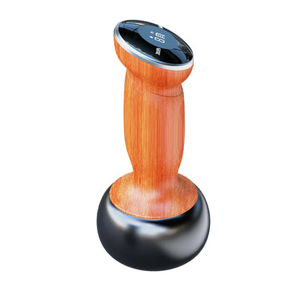 Electric Hot Stone Scraping Massaging Bianstone Guasha Massager Hot Compress Spa Scraping Back Relax Muscles Massage Skin Lift