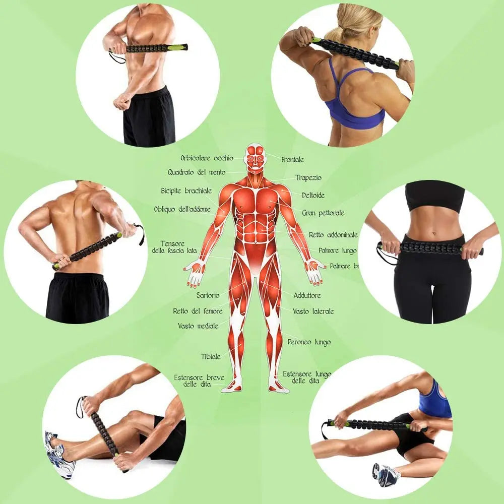 Muscle Roller Stick for Athletes- Body Massage Sticks Tools- for Relief Muscle Soreness,Cramping,Help Legs and Back Recovery