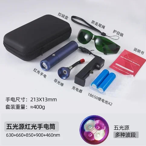 Profession Red Blue Light LED Physiotherapy Flashlight Canker Sore Treat Devices Light Therapy Devices Lip Nose Ears Body Muscle