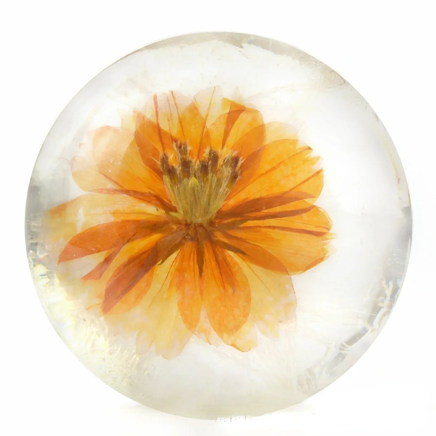 100g Transparent Handmade Soap with Real Fresh Flower Amino Acid Infused Creative Floral Handmade Bar Soap